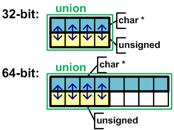 Figure 19 - Representation of a union in memory on a 32-bit system and 64-bit systems.